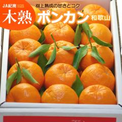 �؏n�t�t���|���J�� (��5kg) �a�̎R�Y �ۂ񂩂� �|���J�� ponkan 5�L�� �݂��� ���k ���� mandarin orange �H�i �t���[�c �ʕ� �݂��� �|