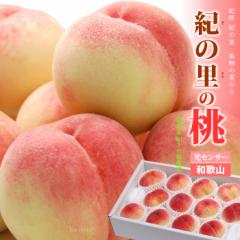 I̗̓ (12ʑO/4kg) a̎RY ԏG   P P(Ȃ) 쒆 JAI̗    peach  ͂ق 