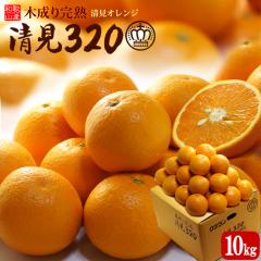 �����I�����W ����320 (��10kg) �a�̎R�Y �G�i �ؐ��� ���n ���� �I�����W �����^���S�[�� ����� �����I�����W ���� kiyomi orange 10�L