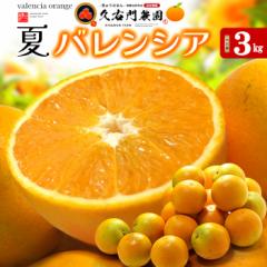 vE_ oVAIW Gi (3kg) a̎R LcS 󒬎Y Y oVA IW  valencia orange Y 3L