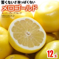 ���n �����S�[���h ���� (10-12��/��7kg) �A�����J�Y �����[�S�[���h �O���[�v�t���[�c melo gold �J���t�H���j�A �z���C�g �����x �Â� 