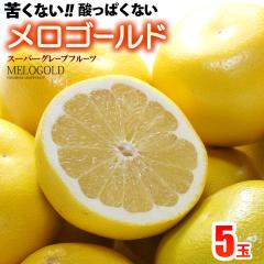 ���n �����S�[���h ���� (5-6��/��3.5kg) �A�����J�Y �����[�S�[���h �O���[�v�t���[�c melo gold �J���t�H���j�A �z���C�g �����x �Â� 