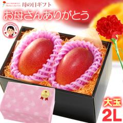 ��̓� �M�t�g �{��}���S�[ (2L�~2��/��700g) �{��Y �ԏG�`�G 2026 ��̓��M�t�g  �{�� ���n�}���S�[ ���Y�}���S�[ �A�b�v���}���S�[