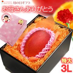 ��̓� �M�t�g �{��}���S�[ (3L�~1��/��460g) �{��Y �ԏG�`�G 2026 ��̓��M�t�g  �{�� ���n�}���S�[ ���Y�}���S�[ �A�b�v���}���S�[