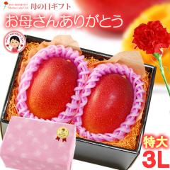 ��̓� �M�t�g �{��}���S�[ (3L�~2��/��900g�ȏ�) �{��Y �ԏG�`�G 2026 ��̓��M�t�g �{�� ���n�}���S�[ ���Y�}���S�[ �A�b�v���}��