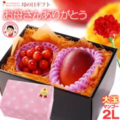 ��̓� �M�t�g �{��}���S�[ (2L�~1��/��350g�ȏ�) �� �R�`�������� ������ (M�ʁ~��100g) �Z�b�g �ԏG�`�G �G�i �T�N�����{ �}���S