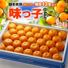 �n�E�X �����q �݂��� (��2.4kg) ����Y �n�E�X�݂��� S ���� ���x13�x�ȏ� �������� ������ �����݂��� ���C�݂��� �z�~���n �n�E�X�͔|