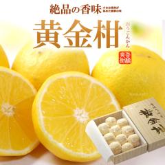 ������ (��700g) �������Y �������񂩂� ������ �݂��� �󏭊��k �H�i �t���[�c �ʕ� �݂��� ���ϔ� �M�t�g ���� �䋟�� ������ �Â� �l