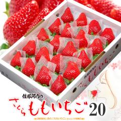 ��������������� (20��/��700g) ������ ���߉͓��Y ������ ���ϔ� ���������� �T�N�� ������ �� � �� �T�N�� �����p �M�t�g ����������