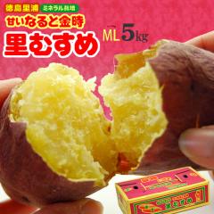 �Ȃ�Ƌ��� ���ނ��� (M-L/5kg) ������ ���Y�Y ���������N �~�l�����͔| ����� �� �Ȃ�� ����Ƃ� �� ���� ���Ƃނ��� �z�N�z�N ��