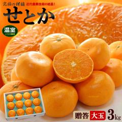 �n�E�X ���Ƃ� 2L-3L (��3kg) ���Q/����Y �G�i ���� �M�t�g ���蕨 ���Ƃ� �Z�g�J �݂��� mandarin orange �n�E�X �����͔| ���ˍ� ���k