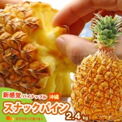 �X�i�b�N�p�C�� (��2.4kg) ����Y �p�C�i�b�v�� �p�C�� �{�S�[���p�C�� �|�R�b�g�p�C�� pine pineapple ��ł������ �H�i �t���[�c �ʕ�