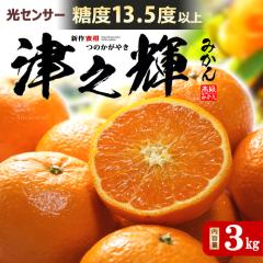 �ÔV�P (��3kg) �O�d���Y �ԏG �M�t�g ���� ���蕨 �Â̋P �̂����₫ �H�i �t���[�c �ʕ� �݂��� �~�J�� ���� ���k �����x �Â� ����