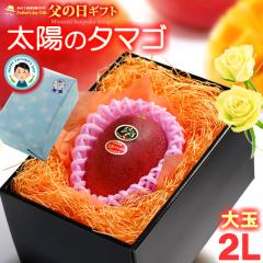 ���̓� �M�t�g ���z�̃^�}�S (2L�~1��/��350g) �{��Y �ԏG�`�G 2026�N ���̓��M�t�g ���z�̂��܂� �{�� �{��}���S�[ ���n�}���S�[ ��