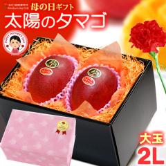 ��̓� �M�t�g ���z�̃^�}�S (2L�~2��/��700g) �{��Y �ԏG�`�G ���z�̂��܂� ���z�̗� �����悤�̂��܂� 2026 ��̓��M�t�g ��p �{��