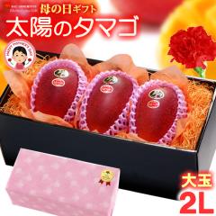 ��̓� �M�t�g ���z�̃^�}�S (2L�~3��/��1kg) �{��Y �ԏG�`�G ���z�̂��܂� ���z�̗� �����悤�̂��܂� 2026 ��̓��M�t�g ��p �{�� 