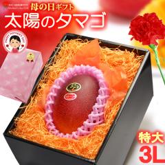 ��̓� �M�t�g ���z�̃^�}�S (3L�~1��/��450g) �{��Y �ԏG�`�G ���z�̂��܂� ���z�̗� �����悤�̂��܂� 2026 ��̓��M�t�g ��p �{��