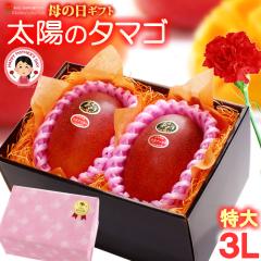 ��̓� �M�t�g ���z�̃^�}�S (3L�~2��/��920g) �{��Y �ԏG�`�G ���z�̂��܂� ���z�̗� �����悤�̂��܂� 2026 ��̓��M�t�g ��p �{��