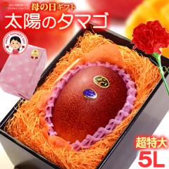 ��̓� �M�t�g ���z�̃^�}�S (5L�~1��/��650g�ȏ�) �{��Y �ԏG�`�G ���z�̂��܂� ���z�̗� �����悤�̂��܂� 2026 ��̓��M�t�g �{�� 