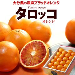 �u���b�h�I�����W (��2.5kg-3kg) �啪�Y �G�i �^���b�R �I�����W ���Y �u���b�h blood orange tarocco orange �� �H�i �t���[�c �ʕ� �I