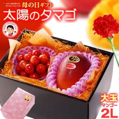 ��̓� �M�t�g ���z�̃^�}�S (2L�~1��/��350g�ȏ�) �� �R�`�������� ������ (M�ʁ~��100g) �Z�b�g �ԏG�`�G �G�i �T�N�����{ �}���S