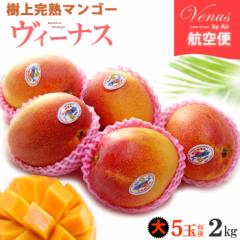 B[iX}S[ (5-6/2kg) LVRY LVR}S[ }S[ wCf Pg mango A x Â  Hi t[c 