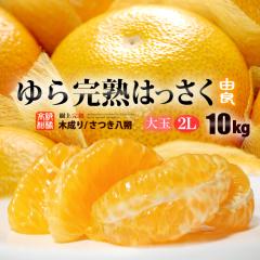 �I�B���k�����I�ʎ{�� ��甪��E�������� (��10kg) �a�̎R�Y �G�i �͂����� ���� �n�b�T�N �R�� �R�ǔ��� ���͂����� �ؐ���͂���