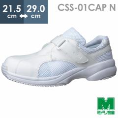 ~hS PAZteB CSS-01CAP N zCg 21.5`29.0