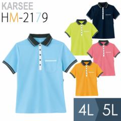 KARSEE J[V[ T[rXEFA jp |Vc HM-2179 5J[ 4LE5L