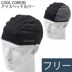 z{X J@[[N COVER WORK M΍ COOLCORE(R) ACXwbhJo[ ubN O[/ubN t[TCY