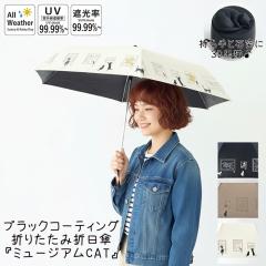 �y�܎P�z��l�C ���J���p �܂肽���� ���P �J�P �܂��ݎP �˂� �ϕ� �l�R  �L �~���[�W�A�� CAT ���� ���i���U �S�b�z �q�}���� �t�F��