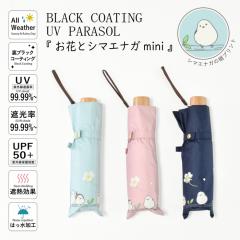 �܎P ���ԂƃV�}�G�i�K  ���u���b�N�R�[�e�B���O ���J���p ���P �J�P 50cm  �Ռ���99.99�� �ՔM UV�J�b�g��99.99��  �܂��ݎP �ϕ�  �y