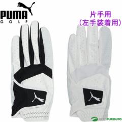 v[} St StO[u t@g U[ O[u Ўpi葕pj Y 042016  2024Ntăf PUMA GOLF E