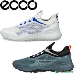 �G�R�[ �S���t�V���[�Y M �o�C�I�� H5 �����Y 13800461109 13800412287 ECCO M GOLF BIOM H5 �����Y�e�L�X�^�C�� �X�p�C�N���X �S���t�V