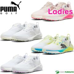 �y���f�B�[�X�z�v�[�} �S���t �S���t�V���[�Y �E�B�����Y �V���h�E�L���b�g �j�g�� 2.0 �f�B�X�N �X�p�C�N���X�V���[�Y 313014 2026�N�t