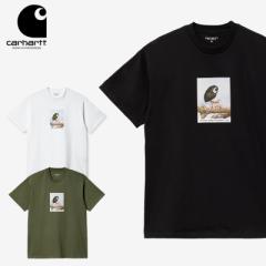 J[n[g _u[ACs[ (Carhartt WIP) S/S ANTLEAF T-SHIRT (I031755)  Y  TVc Jbg\[[AA]