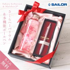 ���Əj�� �A�E�j�� ���O���� �V���[�v�y��  ������ �n�[�o���E�� �� ���@�\ �{�[���y�� ���X�c�Ɠ��o�� �Z�[���[ ���[�� ������� ���킢