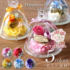 ̓ vU[uht[  Happiness Flower Dome `Vg̑蕨` XcƓo a j LO a ސEj 