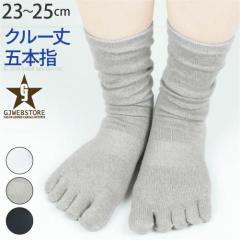 GJwebstore ���f�B�[�X �C�� 5�{�w �N���[�� �\�b�N�X �ܖ{�w ���K ���N / MXM158