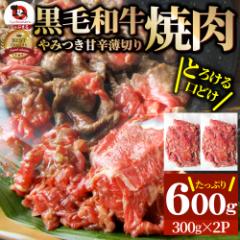 јa ؂藎Ƃ  ē ~600gi300g~2ja  ̓ 䒆  Mtg Hi j  ^Ђ 蕨  j v