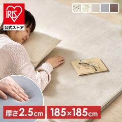 ���O 2�� �J�[�y�b�g ���O�}�b�g �O�~ ���� 2.5cm ������� �V���v�� �I�[���V�[�Y�� �ʔN �z�b�g�J�[�y�b�g�Ή� �h�� ����~�ߕt�� ����