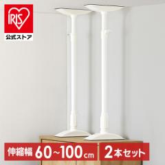 �Ƌ�]�|�h�~ �˂�����_ L�T�C�Y 2�{�Z�b�g �L�k�� 60�`100cm �ψ�220kg �Ƌ�]�|�h�~�L�k�_ �Ƌ� �Œ� �h�� �ЊQ �n�k�΍� �h�Зp�i �H