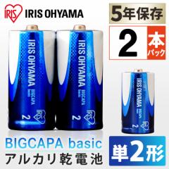 dr BIGCAPA basic P2` 2{pbN LR14Bb/2P ACXI[}