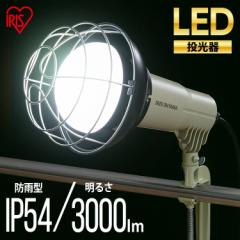 ROOO LWTL-3000CK vbYCg PROLEDS Lite LED LEDCg LEDƖ Cg Ɩ   Ɠ O F