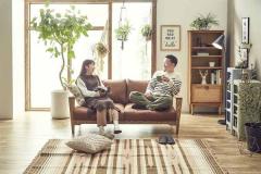 姫家具 関家具 nora ノラ Dama ダーマ 2Pソファ 355774 (代引不可)(TD)(B