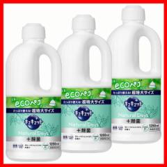 【3個セット】食器用洗剤 花王 ナチュラルデイズ キュキュット Natural Days+除菌 ヴァ―ベナ&シトラスの香り つめかえ用 1250ml KAO ま