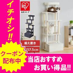 �_2,000�~OFF�N�[�|��!~3/24 9:59�^�L���b�g�^���[ �����u�� �������� ����157.5 �X�e�b�v 5�i ����ɂ��� ���x ���芴 ���[�t ���ꊪ�� 