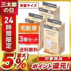 �}�X�N  �s�D�z ���ǂ��p 3�Z�b�g 30���� �g���̂� �q���p �g���̂ă}�X�N �A�C���X�I�[���} �v���[�c�}�X�N �q�� ���ǂ� �L�b�Y �w�� 