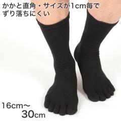 C 5{w\bNX Y N[ rWlX\bNX  16cm`30cm (ܖ{w \bNX Eɂ hL ƒp rWlX 傫T