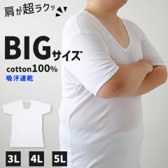 �傫���T�C�Y ���� U�� �N���[�l�b�N �����Y ��100 3L�`5L (�z������ �R�b�g�� �r�b�O �����O �吡 ��t �傫�� �ł��� �ۂ������ �얞 